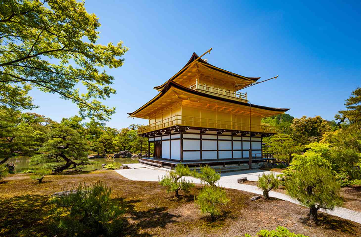 เที่ยววัดคินคะคุจิหรือวัดทอง แห่งเมืองเกียวโต ( KInkakuji )