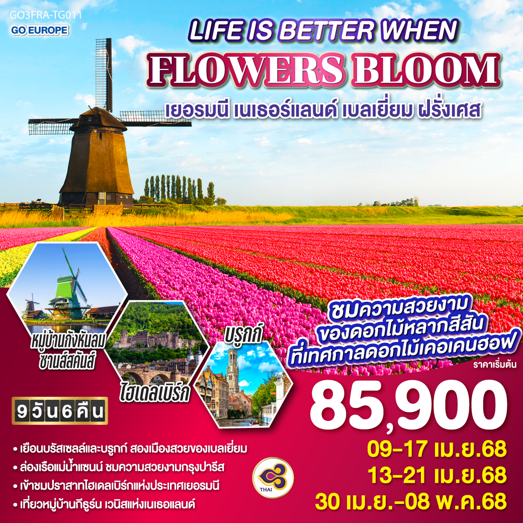 ทัวร์เยอรมนี LIFE IS BETTER WHEN FLOWERS BLOOM เยอรมนี เนเธอร์แลนด์ เบลเยี่ยม ฝรั่งเศส 9วัน 6คืน (TG)