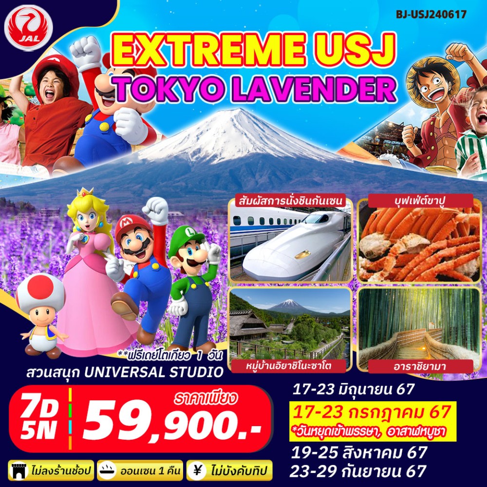 ทัวร์ญี่ปุ่น EXTREME USJ TOKYO LAVENDER 7วัน 5คืน (JL)